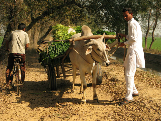 Opening the Door to Foreign Exchange