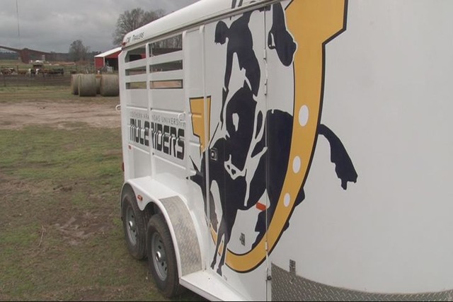Stolen trailer found in Tom, OK