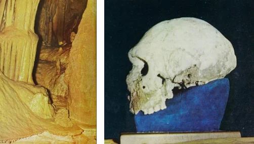 Préhistoire