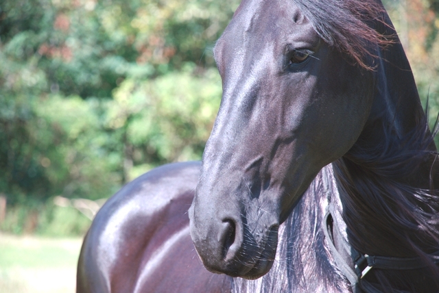 Day 8: Never work with animals