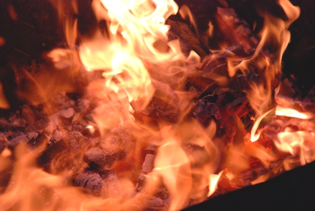 Day 9: Late night wrap