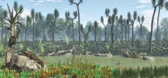 Altas concentraciones de oxígeno: grandes bosques y gigantismo