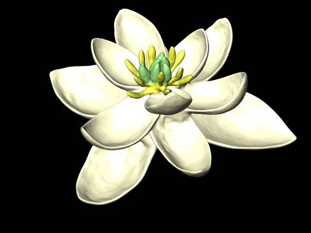 Las plantas angiospermas