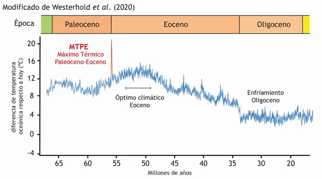 El máximo térmico Paleoceno-Eoceno