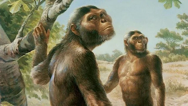 Los primeros homininos