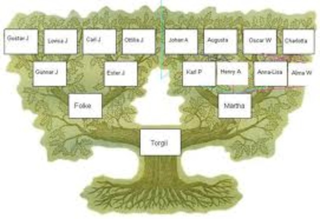 Förlorat släktingar i linköping!!