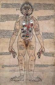 Understanding Anatomy