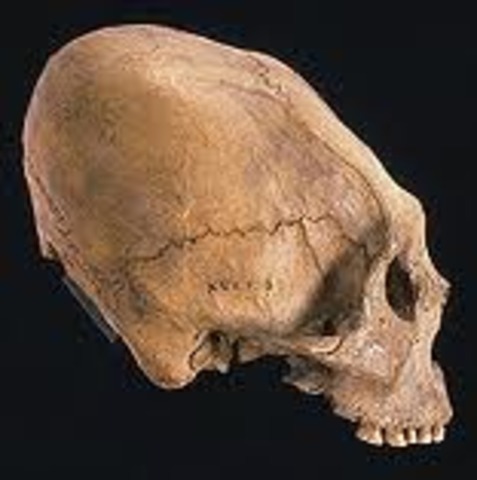 Mayan Beauty - 2000 BC - 250 AD