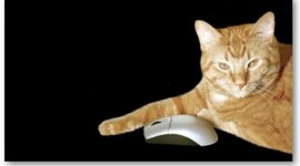 Timeline: A Cat and Mouse Game
