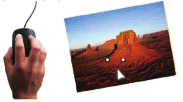 Design and Evaluation of Interaction Models for Multi-touch Mice