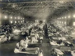 Influenza Crisis