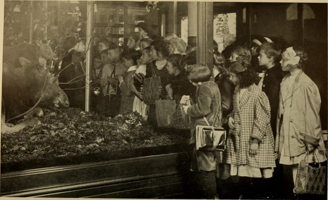 School Museums