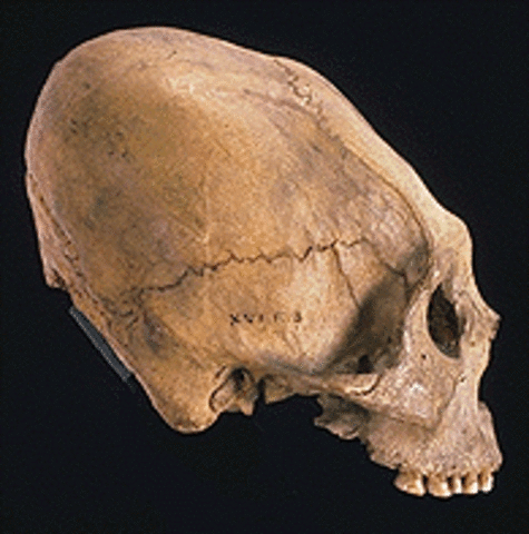 Mayan Beauty Perception 300 AD - 1250 AD