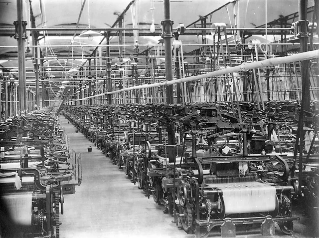 Importante nivel de mecanización en la industria