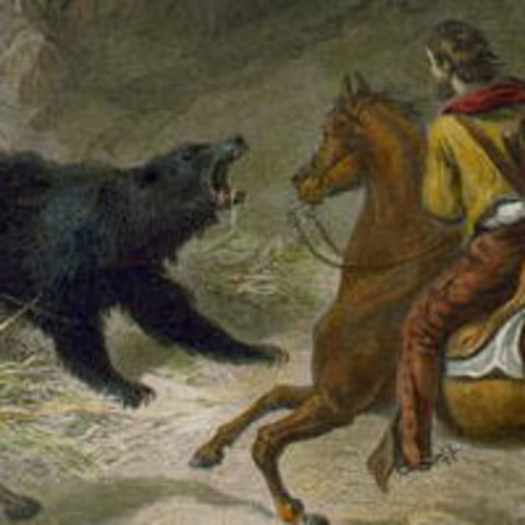The Grizzly Encounter