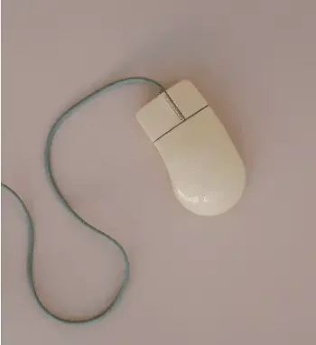 Computer Mouse