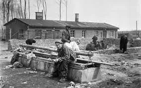 Nazi Concentration Camps Discovered