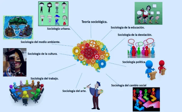 La sociología se divide en: