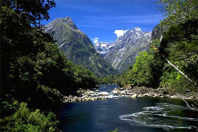 Christmas In New Zealand
