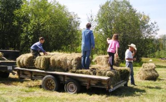 Move from Enderby to the Chilcotin—Eagle Lake Ranch!