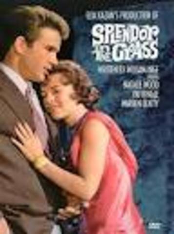 Splendour in the Grass