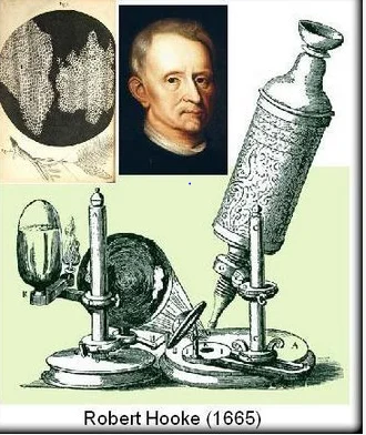 Robert Hooken mikroskopioa