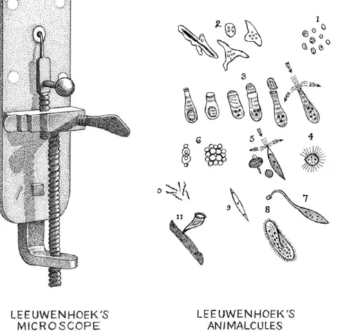 Anton van Leeuwenhoekek