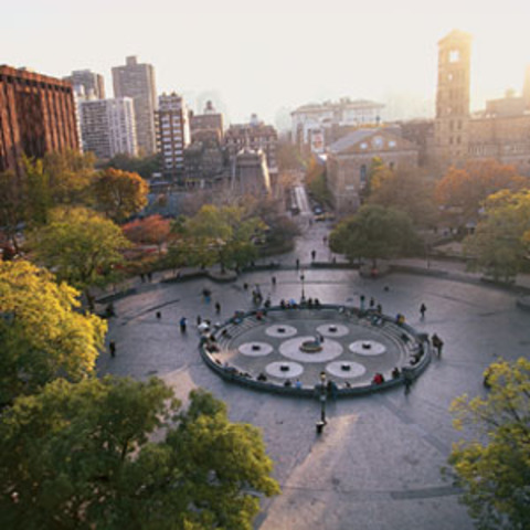 New York University