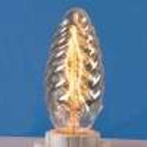 Incandescent Light Bulb