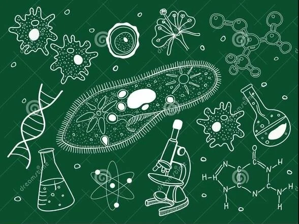 Otro acercamiento - la TGS en la Biología