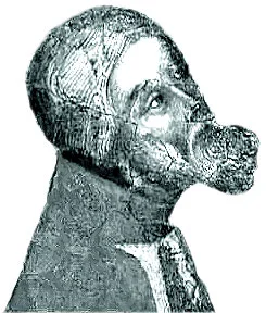 Don Juan Manuel
