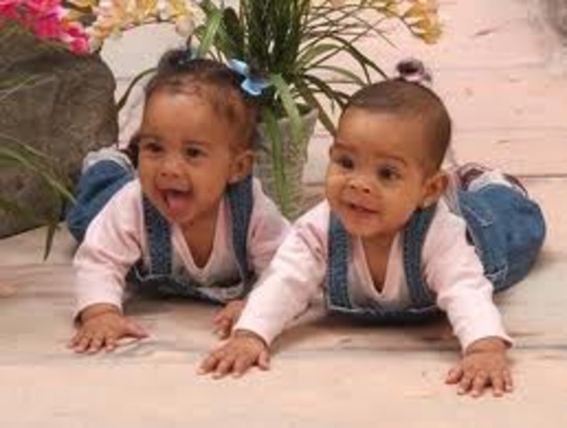 Has Twins(Biological)