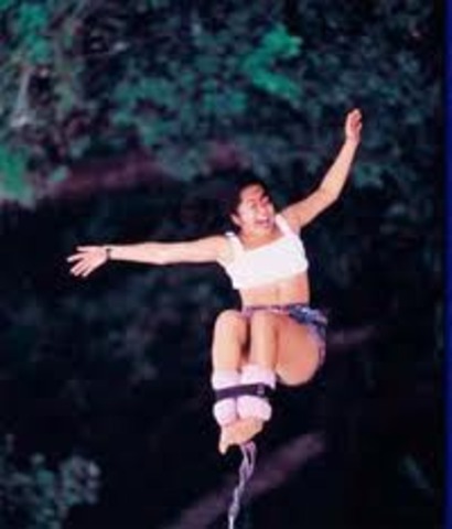 Goes BungeeJumping(Cognitive)