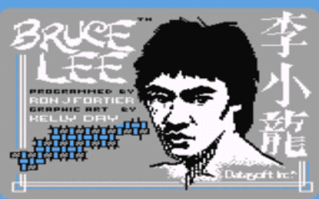 Bruce Lee Video Game