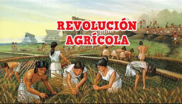 Incremento de la producción agrícola a lo largo del siglo XIX ( La revolución agrícola)
