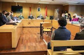 PEQUEÑO JUICIO O MINI TRIAL
