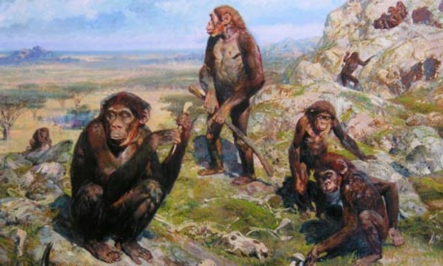 300,000,000 BC Australopithecus Africanus