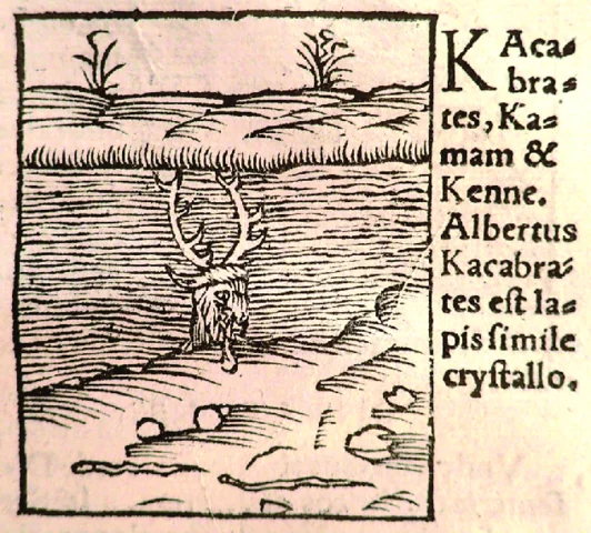 Publicacion De Lapidibus