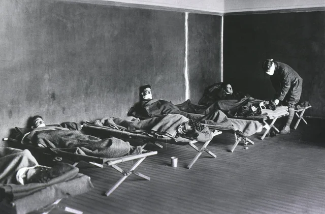 Influenza Crisis