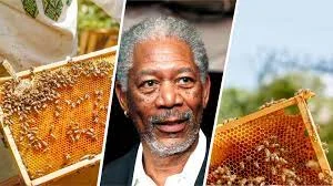 Beekeeper Era