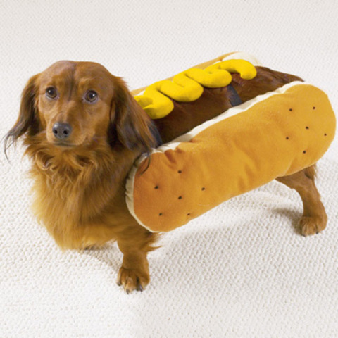 Hot Dogs