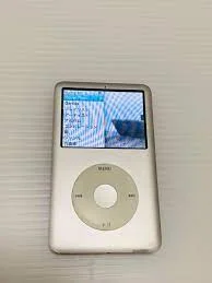 Apple iPod