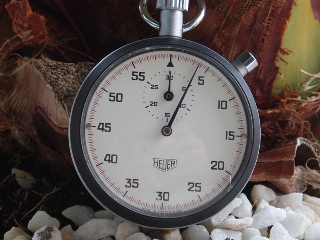 Mapping Out The Land.