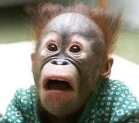 Brother-Sister Relationship?