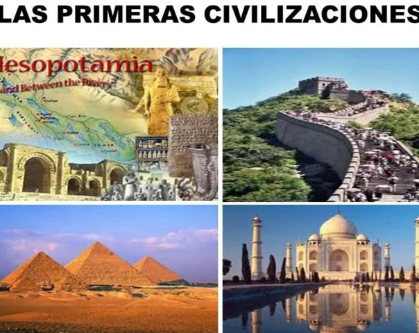 necesidad de organización