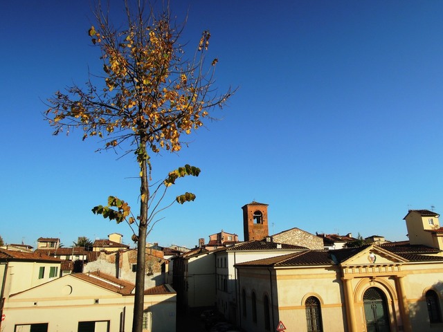 Lucca