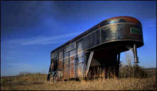 "Love at First Sight"