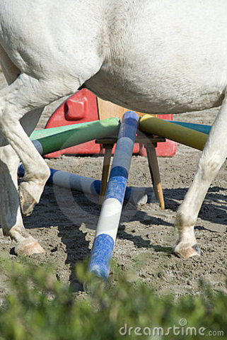 And the Training Begins...