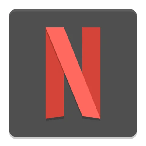 Netflix Transitioned to Streaming