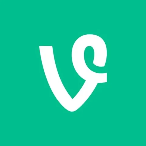 Vine Release date